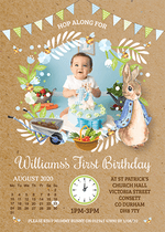Baby Boy Peter Rabbit Invites With Photo